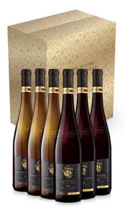 Výběr NEJLEPŠÍCH vín z Habánských sklepů v dárkovém kartonu