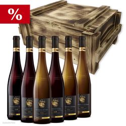 Balíček nejlepších vín z Habánských sklepů v luxusním dřevěném boxu